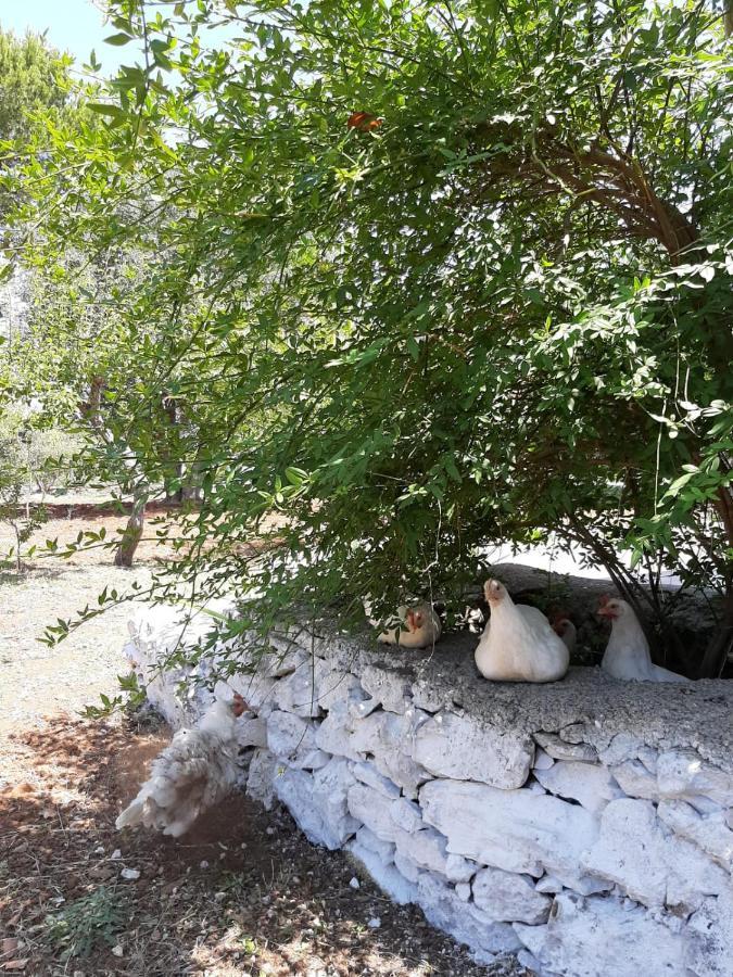 فيلا Trullo Fellone سيغلي ميسابيكا المظهر الخارجي الصورة
